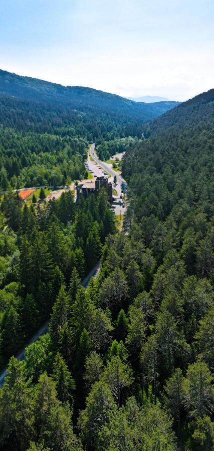 Hotel Pino Nature Hotel, Bw Premier Collection 4*